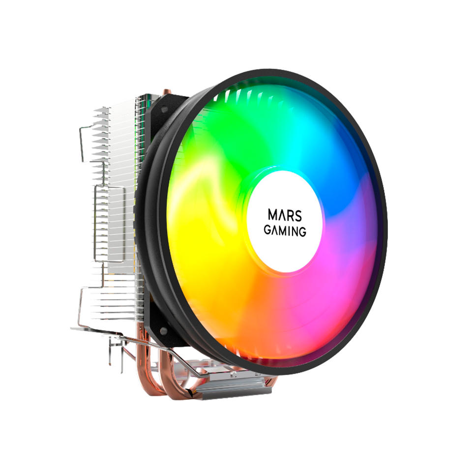 النص بالعربية