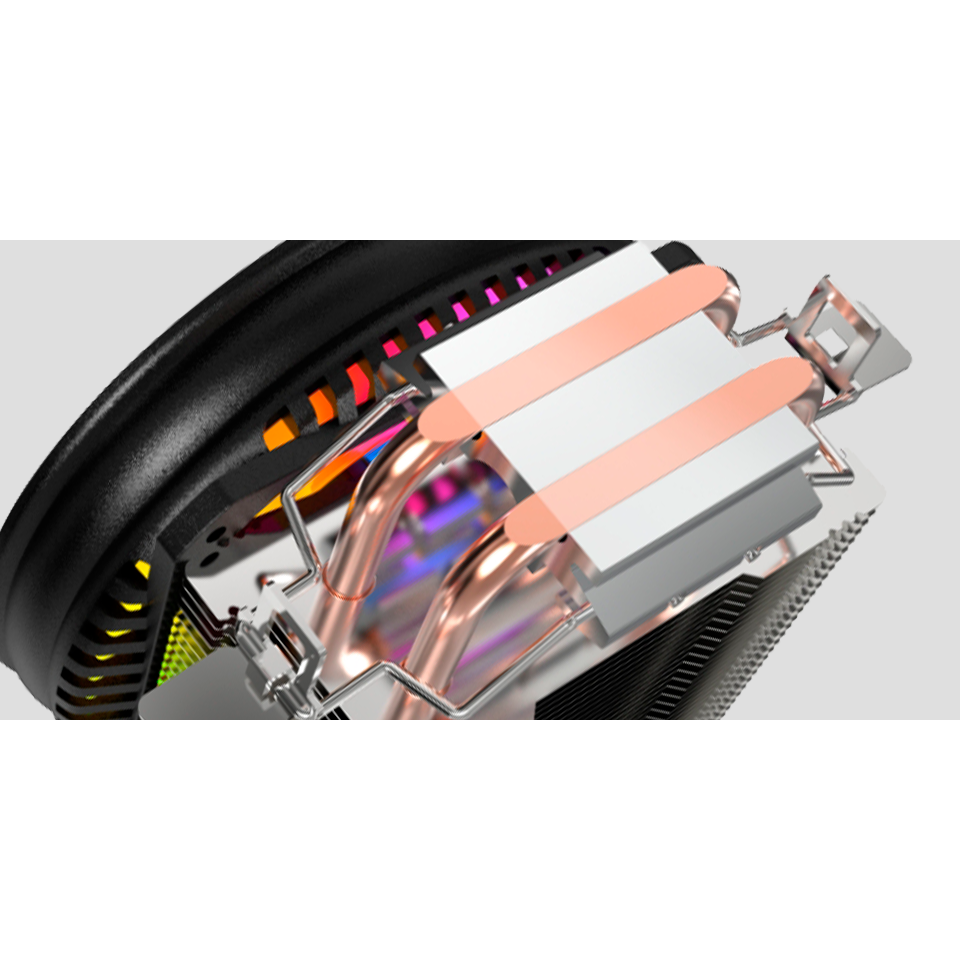 النص بالعربية