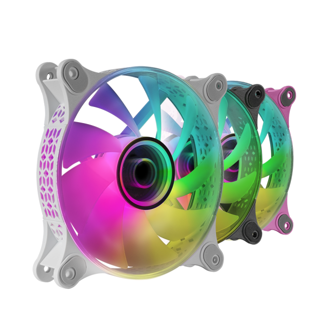 MF-3D
