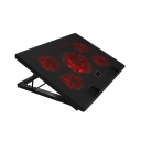 MNBC2 Überholt MNBC2 Überholt