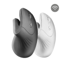 MMW-ERGOPRO Recondicionado