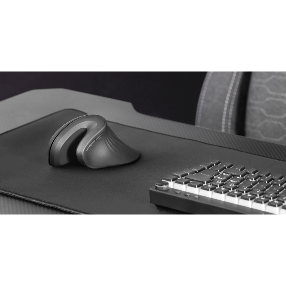 MMW-ERGOPRO Recondicionado