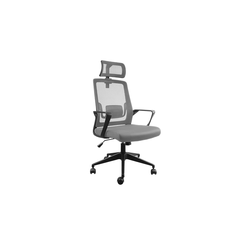 MGC-ERGOLITE Refurbished