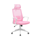 MGC-ERGOLITE Ricondizionato