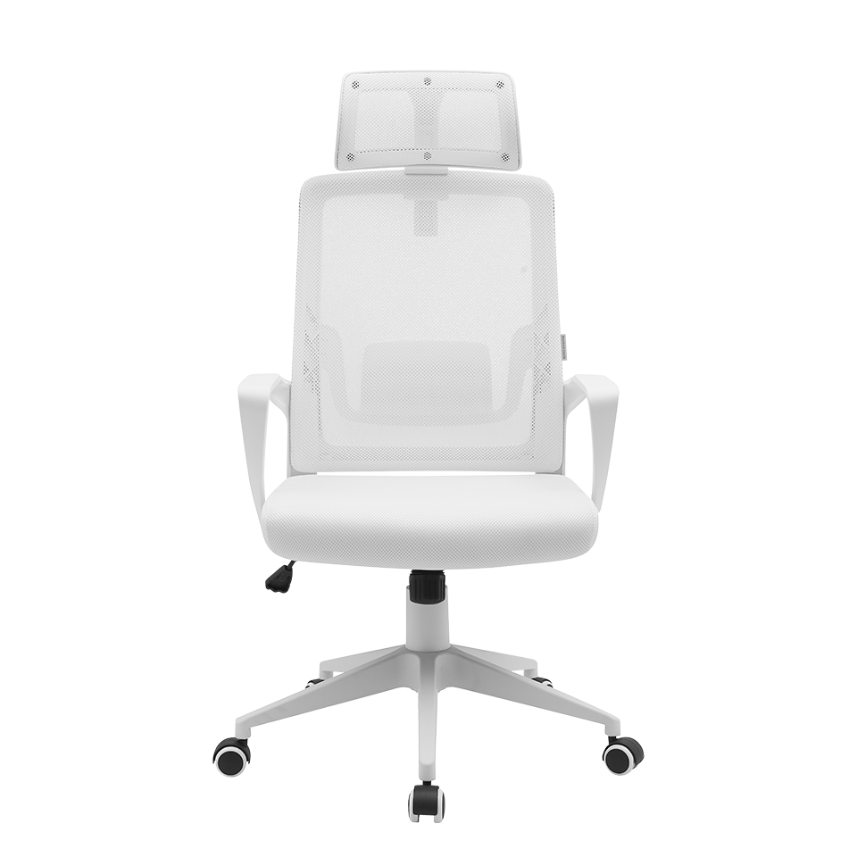 MGC-ERGOLITE Refurbished