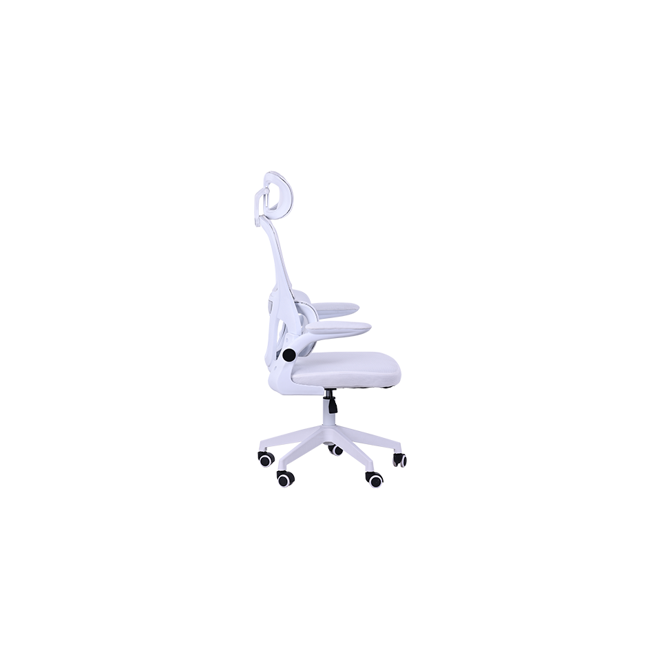 MGC-ERGOPRO مجدد