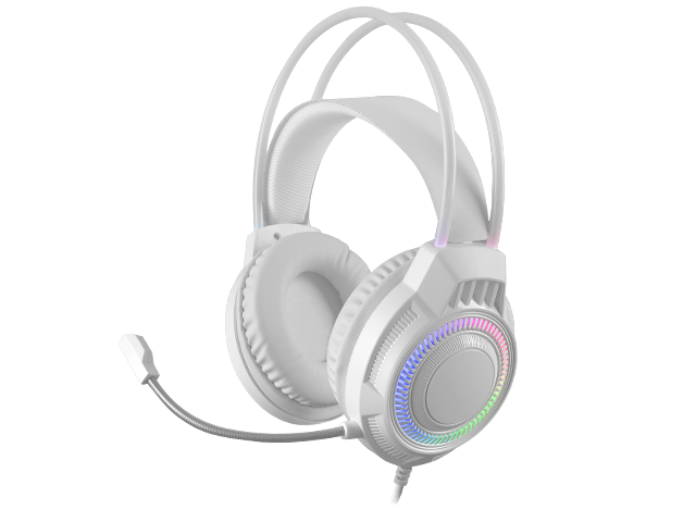 RGB Headphones with Surround Sound